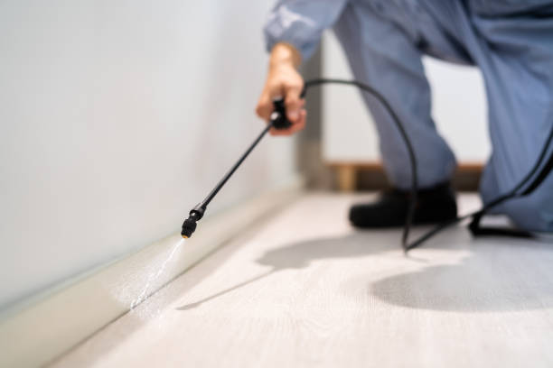 Licensed Termite Control service in Dawson, GA - Nex Pest Control