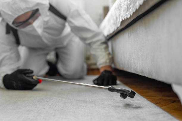 Professional Termite Control technician working in Dawson, GA