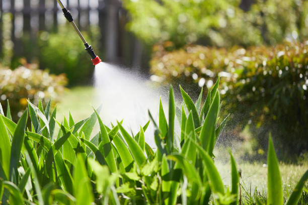 24/7 Emergency Termite Control experts in Dawson, GA