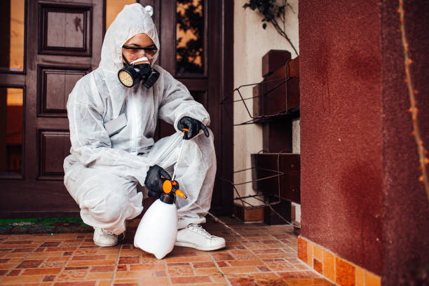 Reliable Termite Control contractor in Dawson, GA by Nex Pest Control